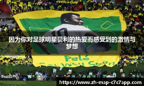 因为你对足球明星贝利的热爱而感受到的激情与梦想